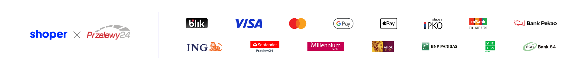 platnosci_poziom_z_kartami  p24.png